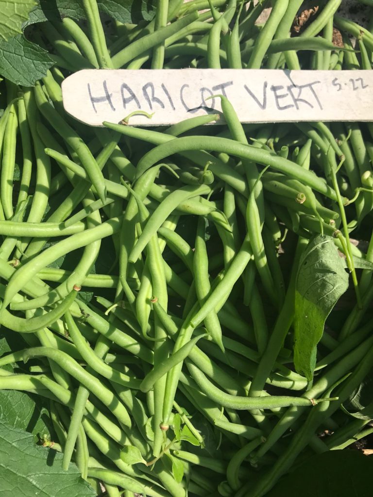 Haricots Verts with Lemon-Herb Brown Butter - Striped Spatula